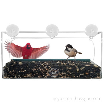Long Window Bird Feeder For Small and Large Birds Enjoy Viewing Birds in the House